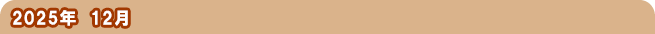 2025�N12��
